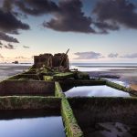 Historic Photographer of the Year 2019 winner