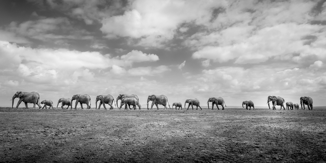 © Florian Kriechbaumer, The 13th Epson International Pano Awards, thepanoawards.com