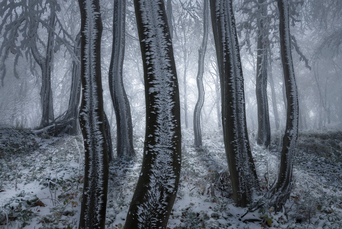 2nd Place: © Tony Wang, After the Snowstorm, 'The 9th International Landscape Photographer of the Year', internationallandscapephotographer.com