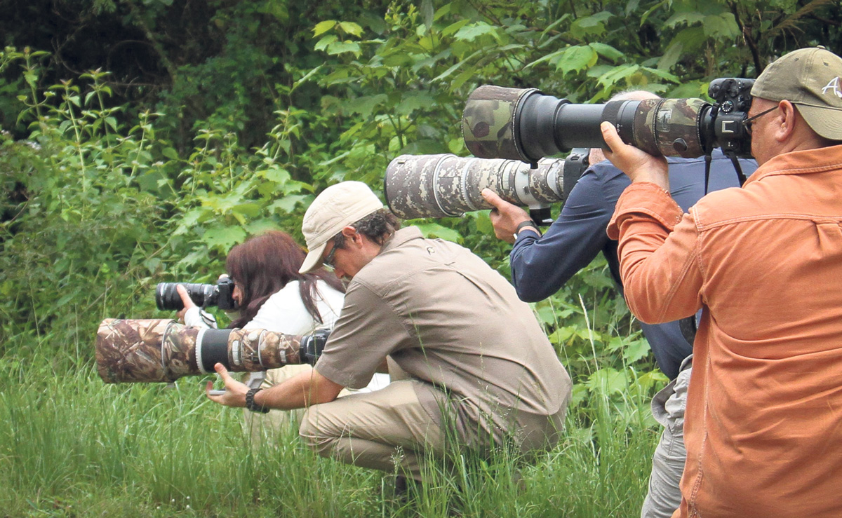 Untamed Photo Safaris