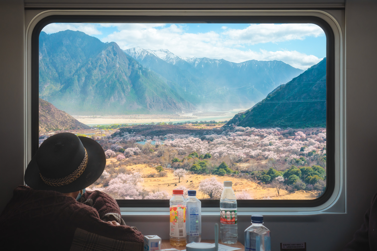 A scenic view of a lush valley filled with blooming trees, framed by the window of a train. Mountains with snow-capped peaks rise in the background under a partly cloudy sky. Bottles and a hat are visible on the table inside the train.