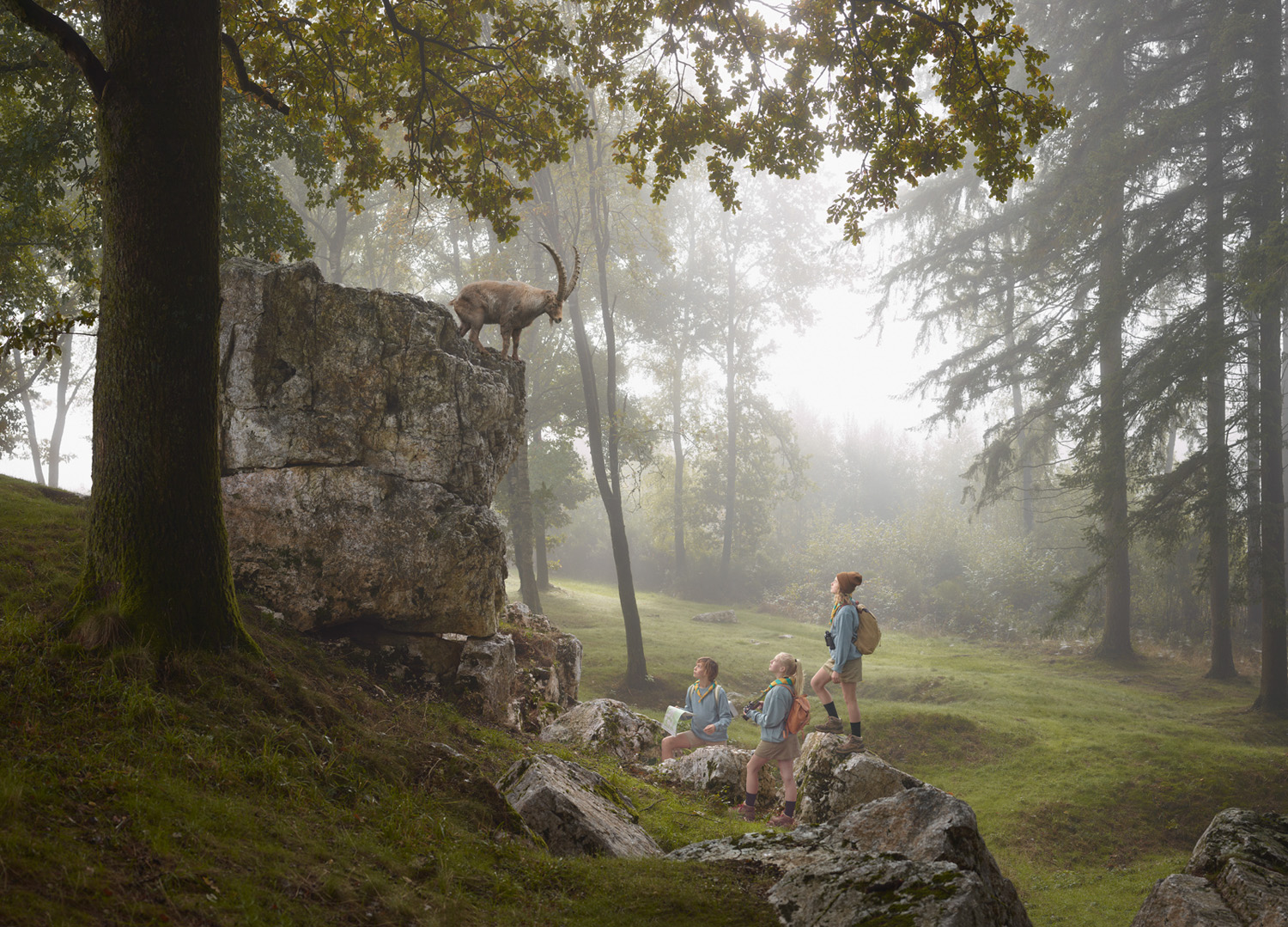 A scenic forest setting with three children in scouting uniforms observing a mountain goat standing on a large rock. The scene is misty with tall trees surrounding the area.