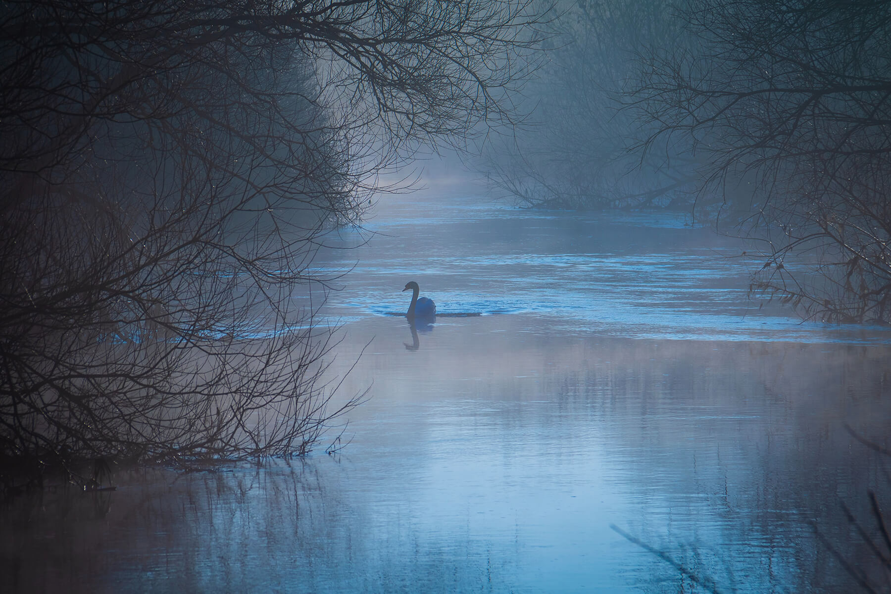 Winter landscape